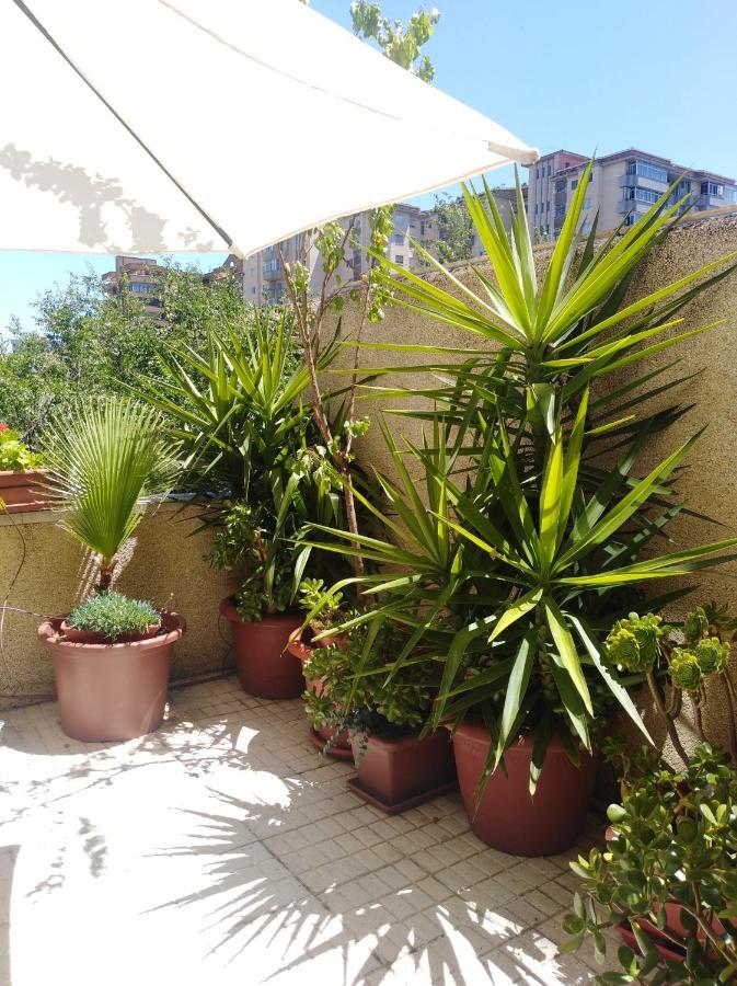 Apartamento Principe Caces Exteriör bild