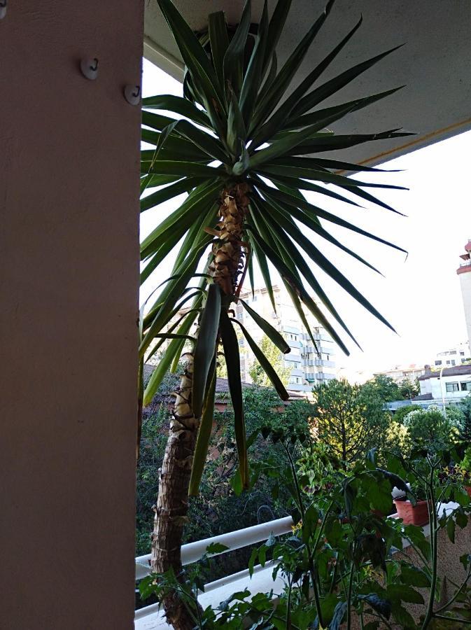 Apartamento Principe Caces Exteriör bild